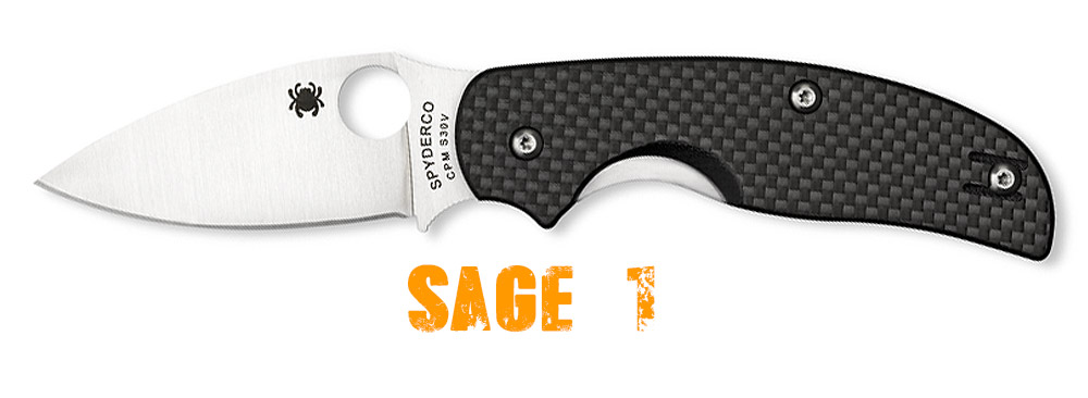 Spyderco Sage 1 Folding Knife